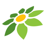 MOD APK WA